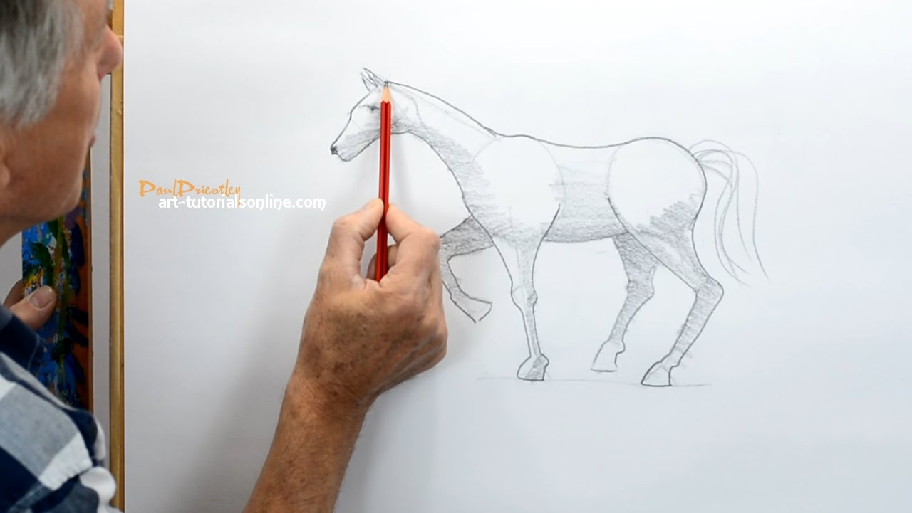 1280x721 How To Draw A Horse Simply - Equine Sketches