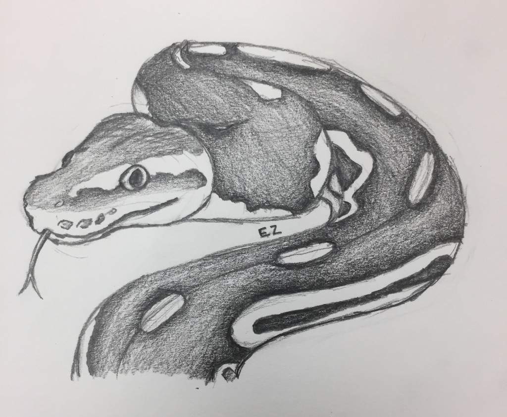 1024x841 Finished! Sketch Of Eros Snake Amino Amino - Eros Sketch