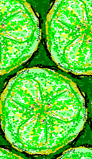 188x324 Escher Web Sketch - Escher Web Sketch