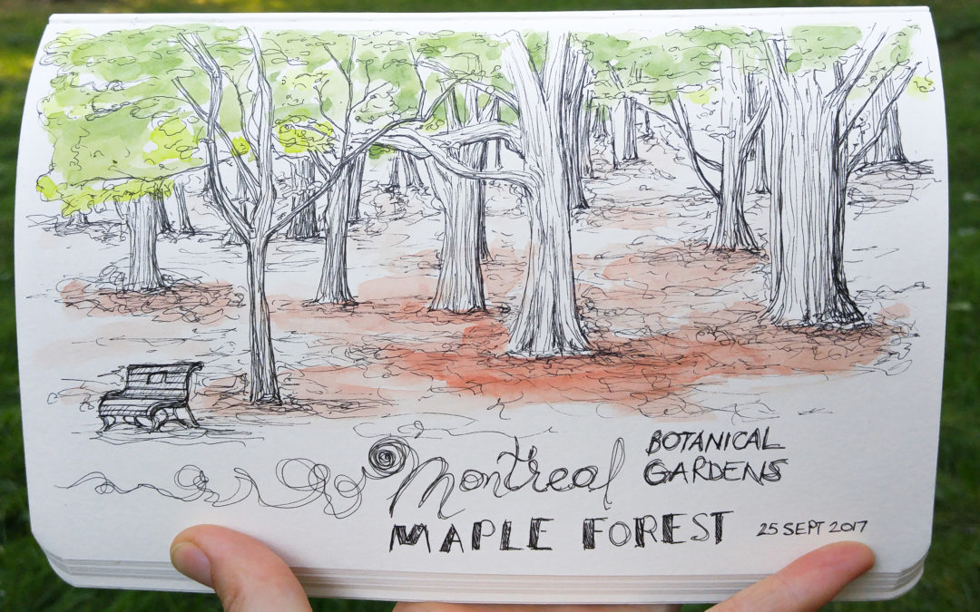 1080x675 Montreal Botanical Gardens Sketching Essay Genevieve Lacombe - Essay Sketch