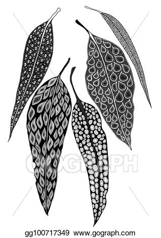 318x470 Eucalyptus Clipart Black And White - Eucalyptus Leaf Sketch