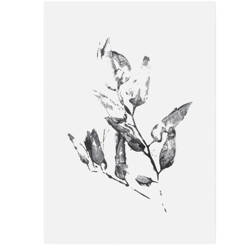 500x500 Eucalyptus Leaves 2 Printed Wall Art Temple Amp Webster - Eucalyptus Leaf Sketch