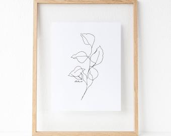 340x270 Eucalyptus Drawing Etsy - Eucalyptus Sketch