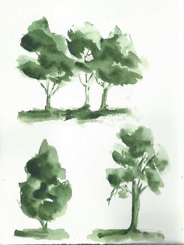 599x800 Jacquip Illustrations A Week Of Trees - Eucalyptus Tree Sketch