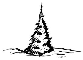 274x200 Image Gallery Evergreen Sketch - Evergreen Sketch