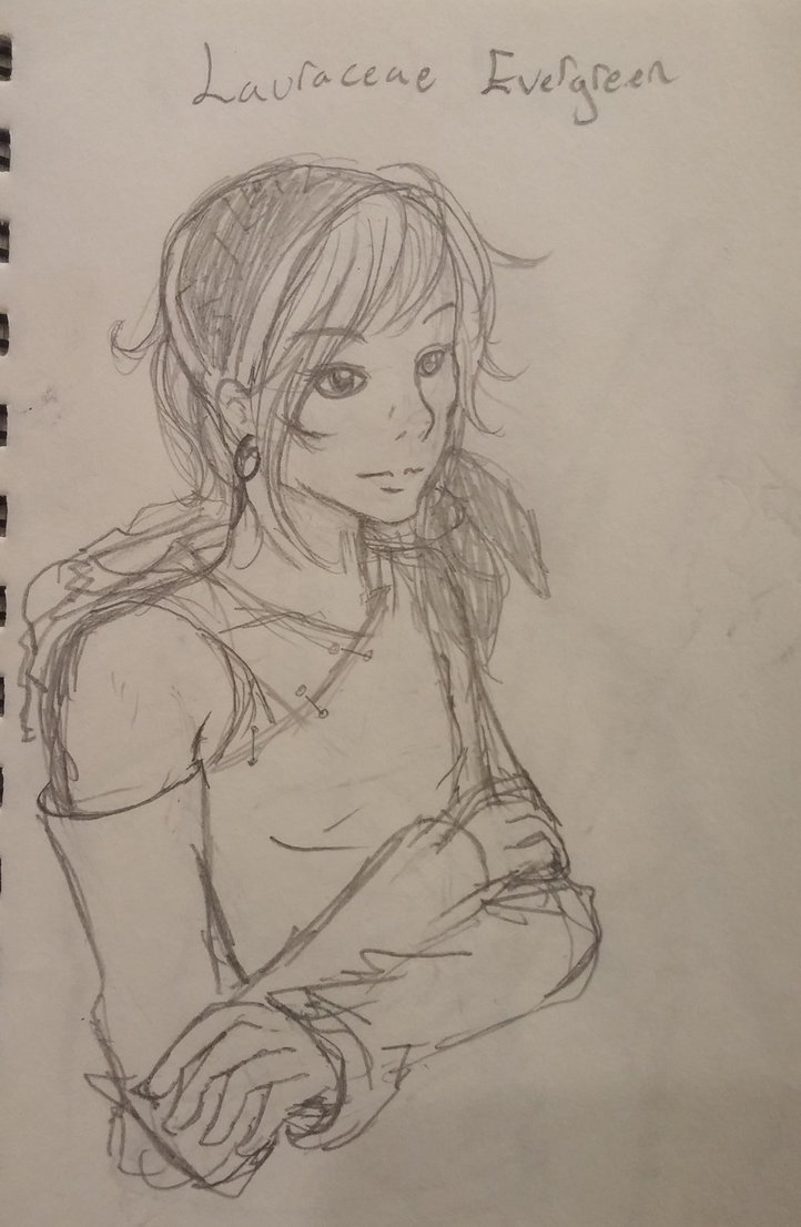 722x1106 Lauraceae Evergreen Sketch By Miasaka - Evergreen Sketch