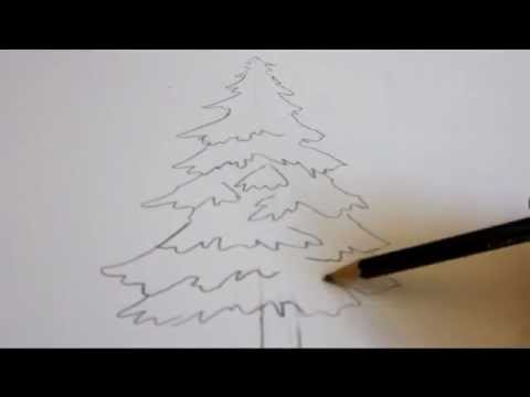 480x360 How To Draw A Tree - Evergreen Tree Sketch