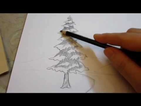 480x360 How To Shade An Evergreen Tree With Pencil - Evergreen Tree Sketch