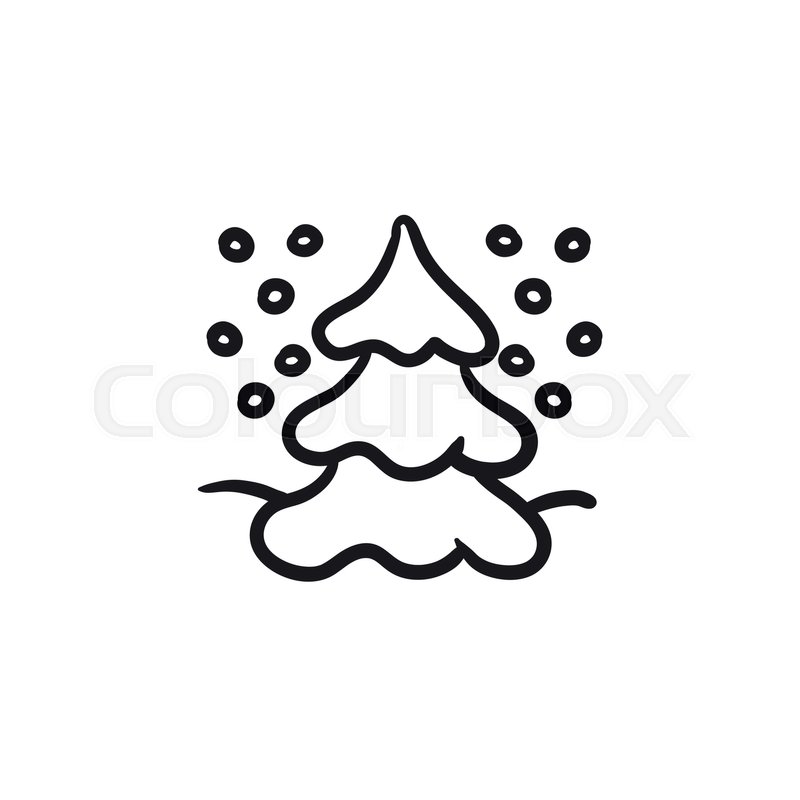 800x800 Christmas Tree Covered With Snow Vector Sketch Icon Isolated On - Evergreen Tree Sketch
