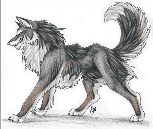 489x410 Nicely Detailed Evil Wolf Wolf Drawings Drawings - Evil Dog Sketch