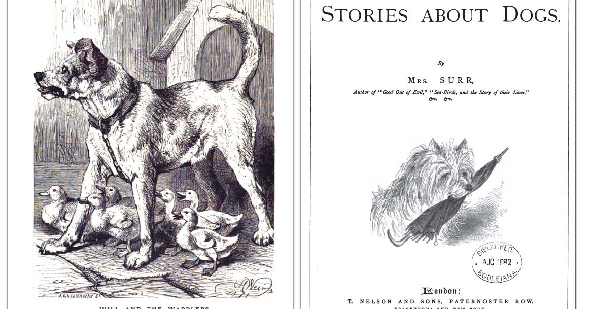 1161x609 The Book Shelf The Dog A True Friend, An Unselfish Companion And - Evil Dog Sketch