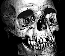 216x186 Evil Skull Drawings How To Draw Them From Your Imagination - Evil Sketches