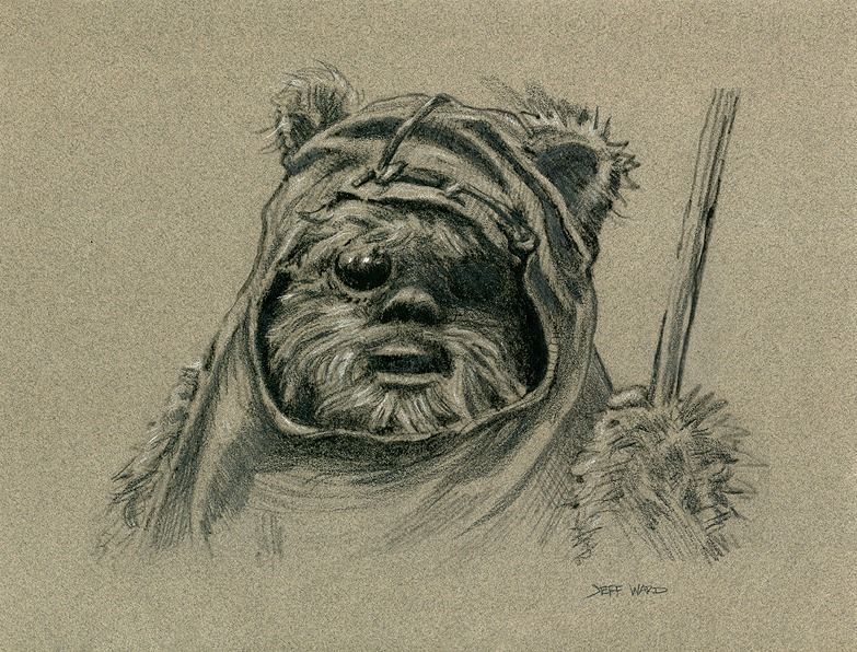 783x596 Ewok Wicket Star Wars Drawing By Jeff Ward - Ewok Sketch. 