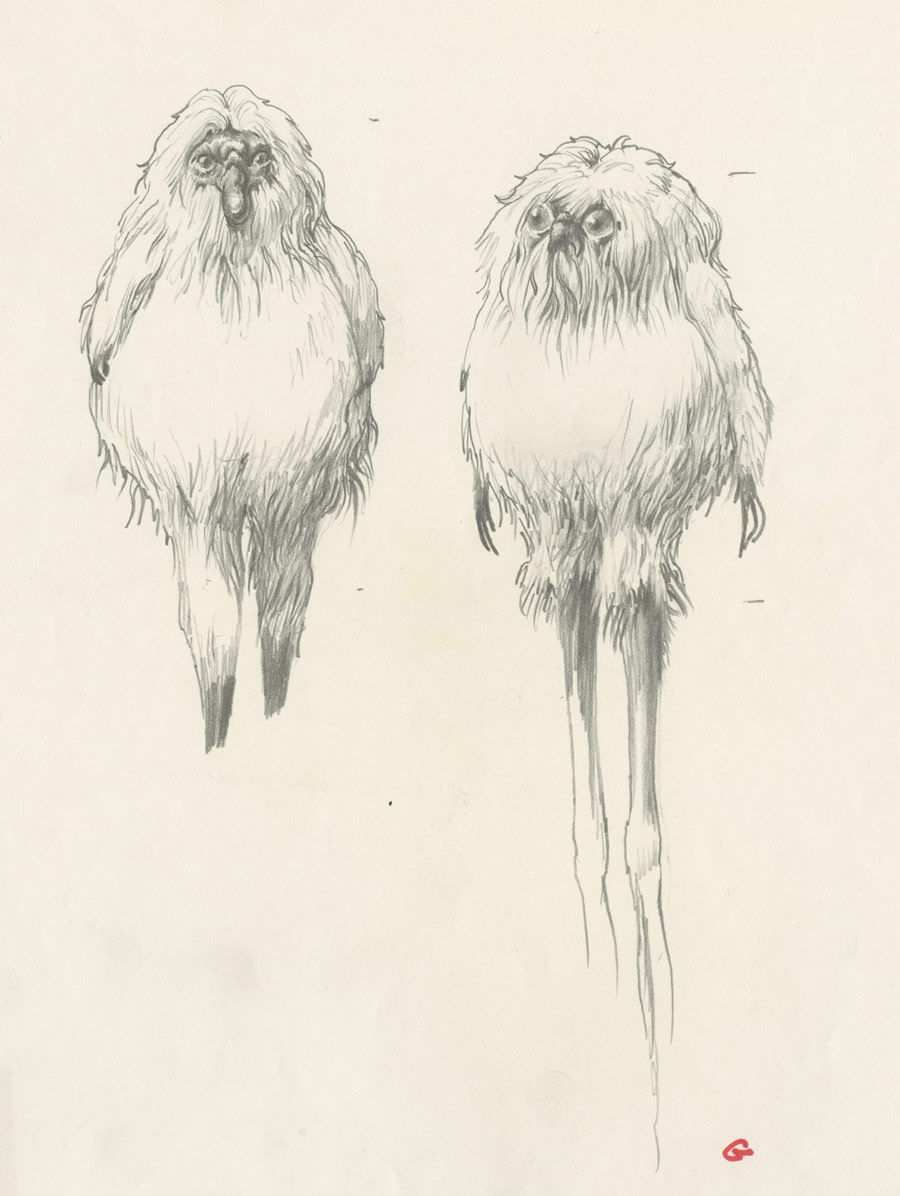 900x1196 Yoda Almost Looked Like A Garden Gnome, Plus 4 More Early Star - Ewok Sketch