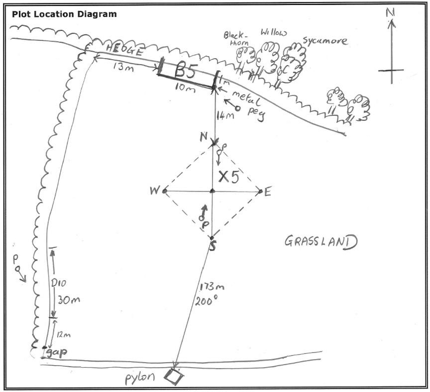 850x776 Example Of A Plot Sketch Map 901 902 Download Scientific Diagram - Example Sketch