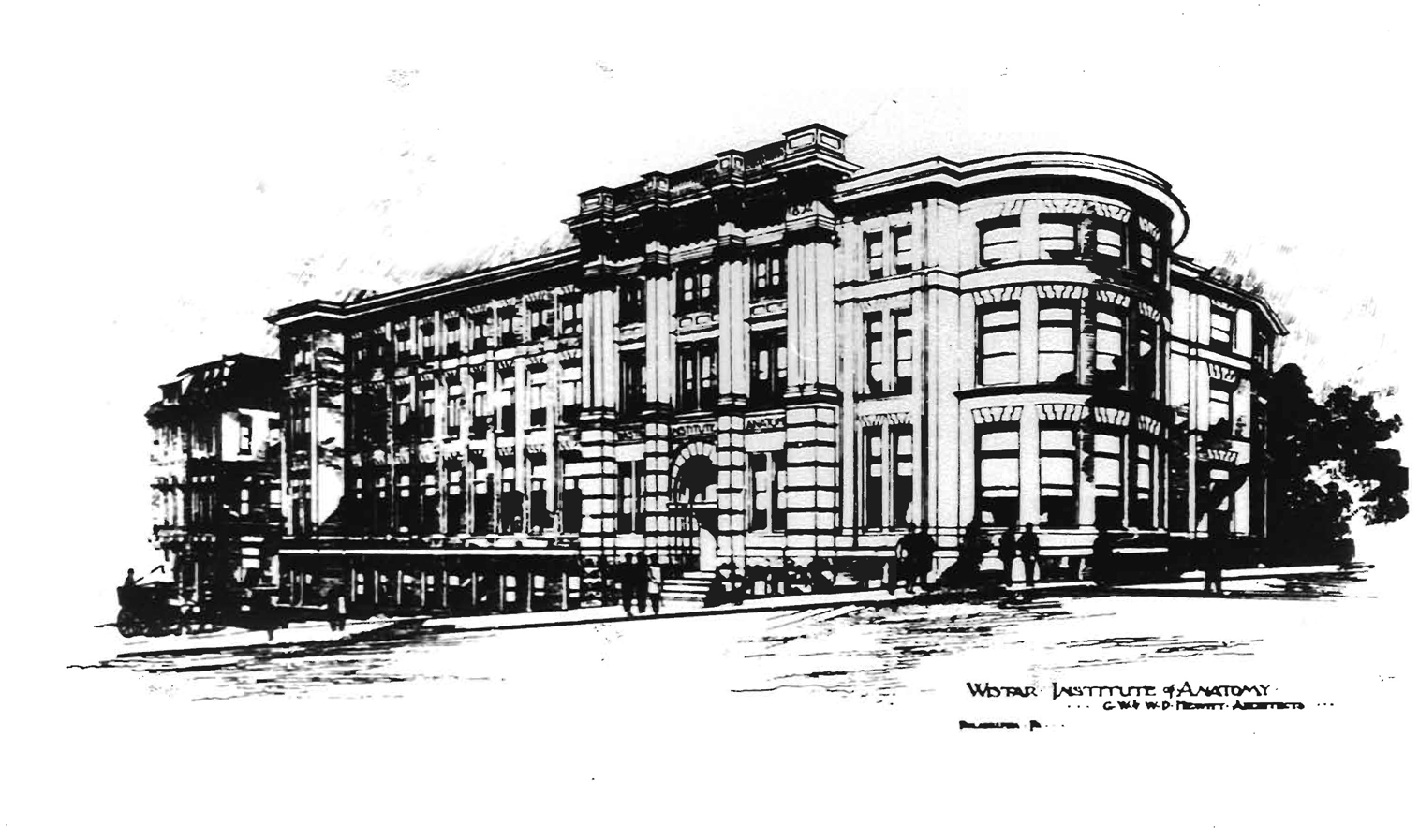 1515x897 - Exterior Sketch