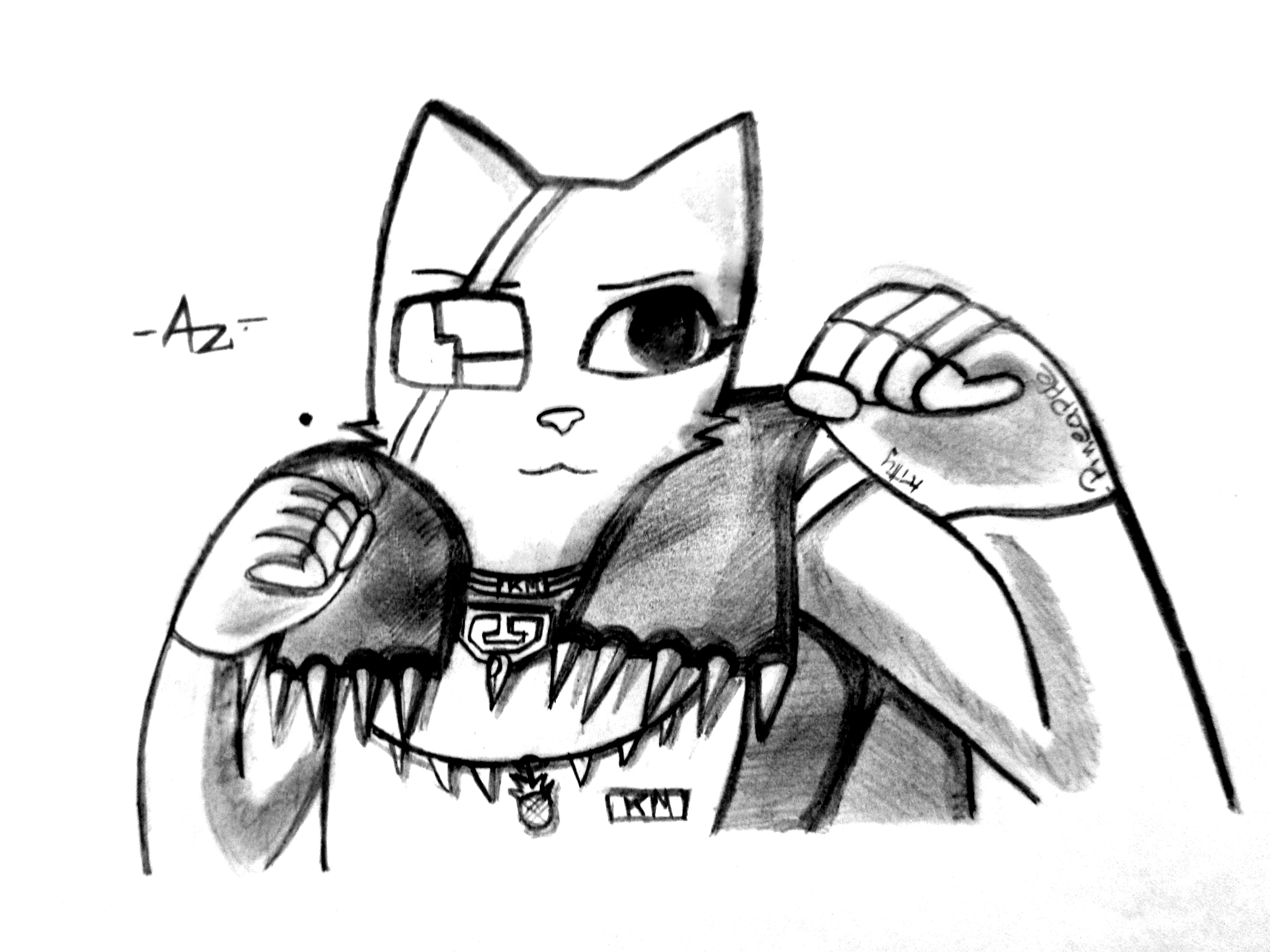 4000x3000 Image 1830 Skyrim Stormcloack Anachronism Artistazuajem79 - Eye Patch Sketch