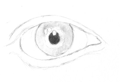 400x272 Drawing The Human Eye - Eye Sketch