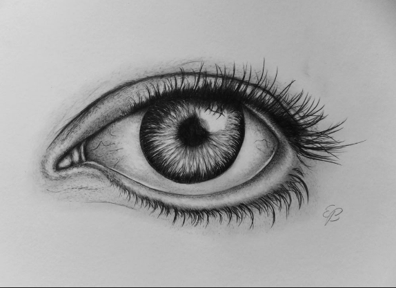 Eye Sketch Step By Step at PaintingValley.com | Explore collection of ...
