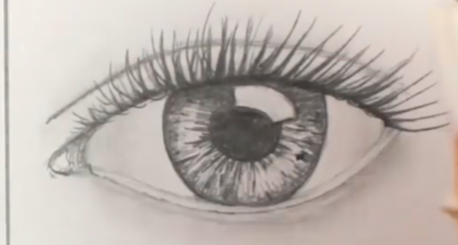 512x274 How To Draw Realistic Human Eyes 7 Steps (With Pictures) - Eye Sketch Images