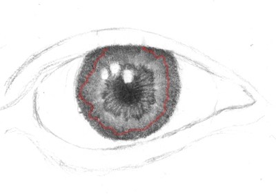 400x281 Drawing The Human Eye - Eye Sketch Images