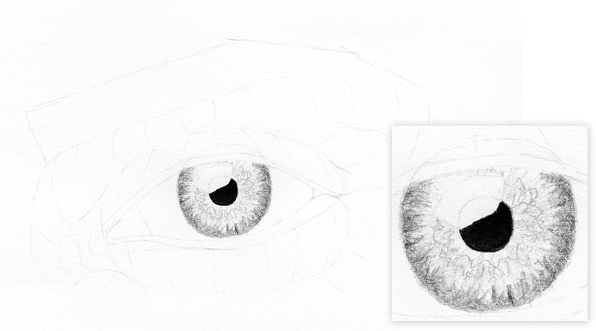 850x472 How To Draw A Realistic Eye - Eye Sketch Step By Step