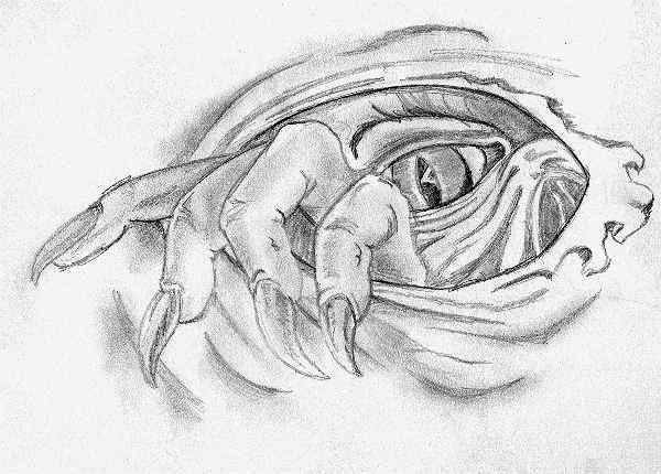 600x430 Demon Eye Tattoo Sketch - Eye Tattoo Sketch