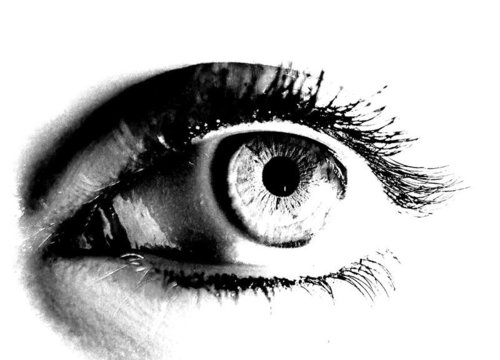 500x360 A Sketch Of My Eye Tattoo Picture - Eye Tattoo Sketch