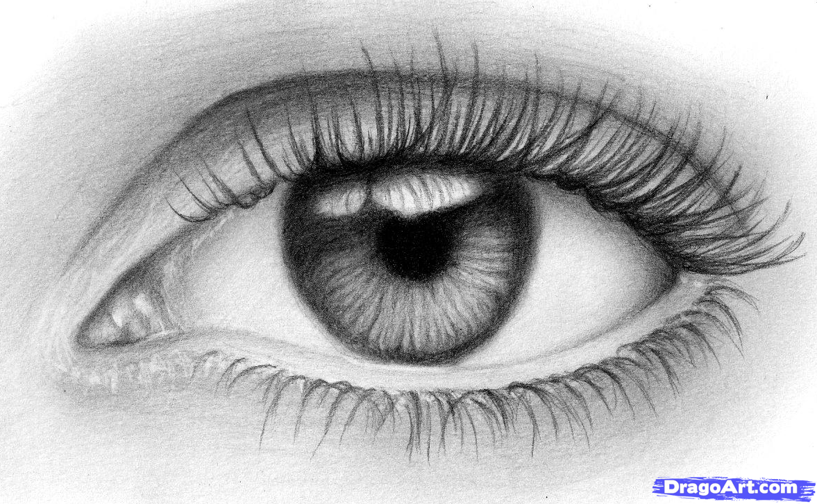 1177x727 How To Sketch An Eye, Step By Step, Eyes, People, Free Online - Eyeball Sketch