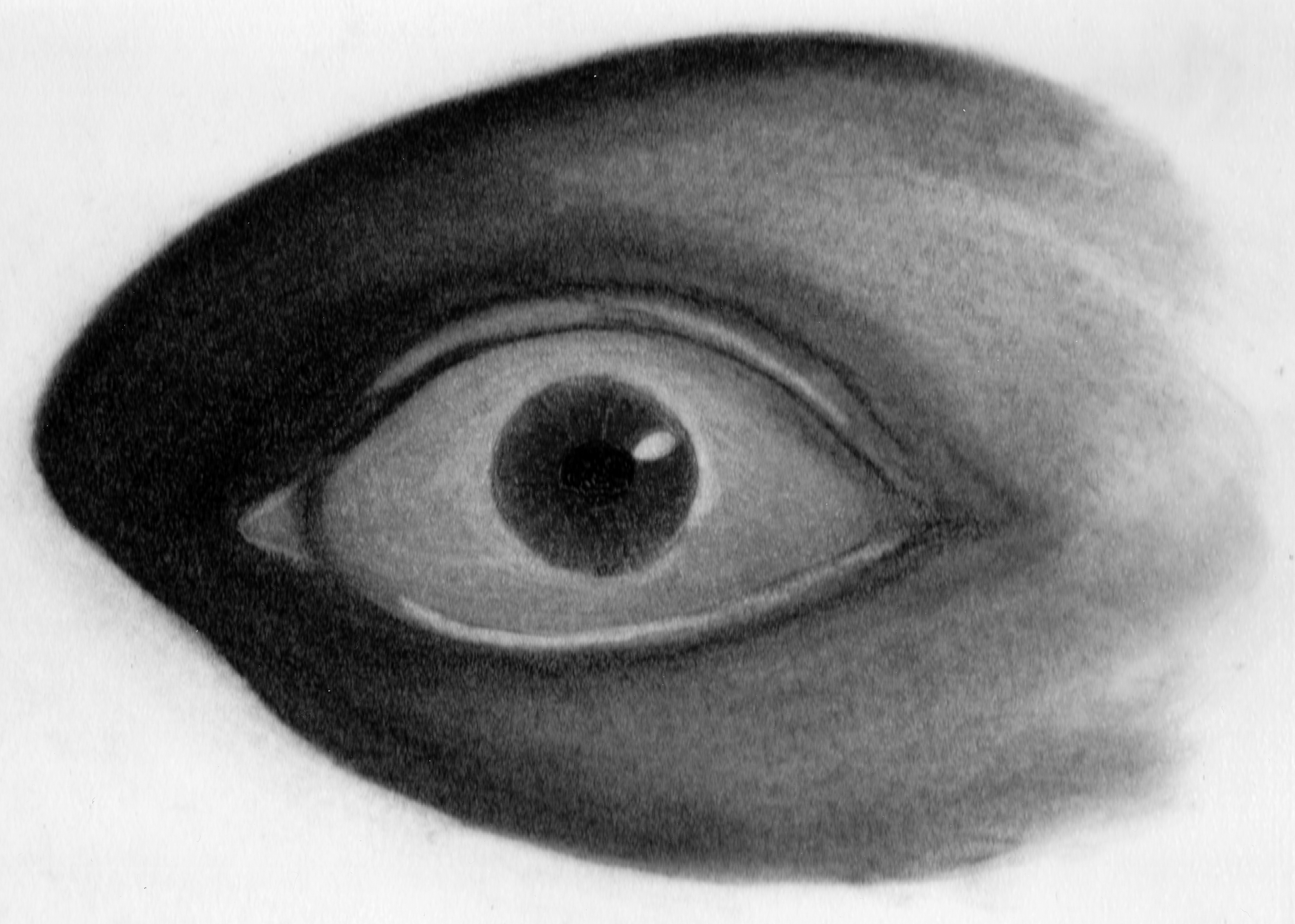 6499x4637 Pencil Illustration Eyeball Sketch Digital Portfolio - Eyeball Sketch