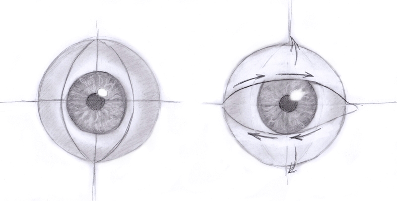 800x405 Tips On Drawing The Eyes Part 1 Like Sketch - Eyeball Sketch