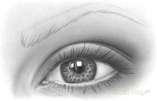 527x340 How To Draw Eyebrows On Paper Rapidfireart - Eyebrow Sketch