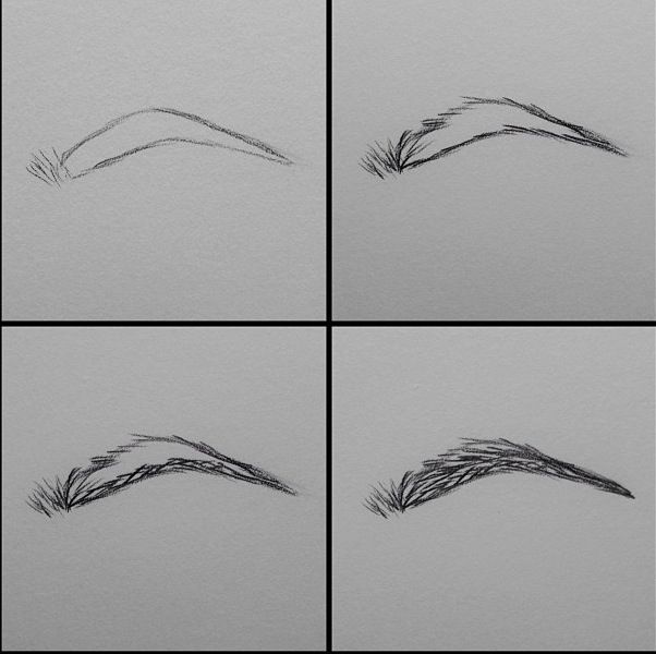 602x600 How To Draw Eyebrows. This Makes So Much Sense If You Relate It To - Eyebrow Sketch