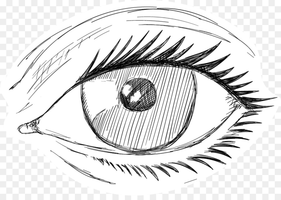 900x640 Iris Eyebrow - Eyebrow Sketch