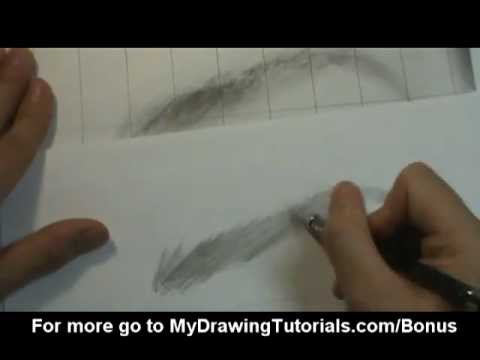 480x360 Realistic Drawing Tutorial 58] Eyebrow Drawing - Eyebrow Sketch