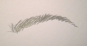 350x185 Draw Eyebrow Mrshomely - Eyebrow Sketch