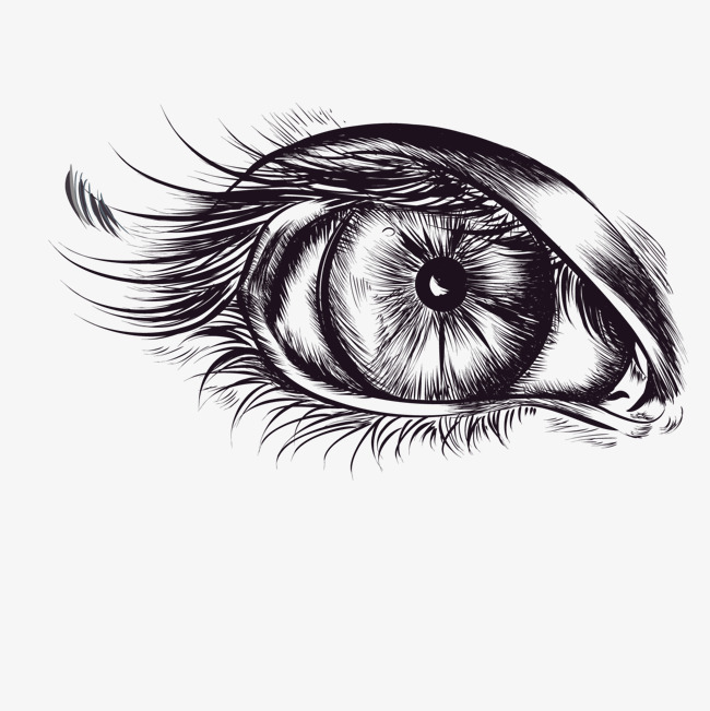 650x651 Vector Eyelashes, Eye, Sketch, Eye Vector Png And Vector For Free - Eyelashes Sketch