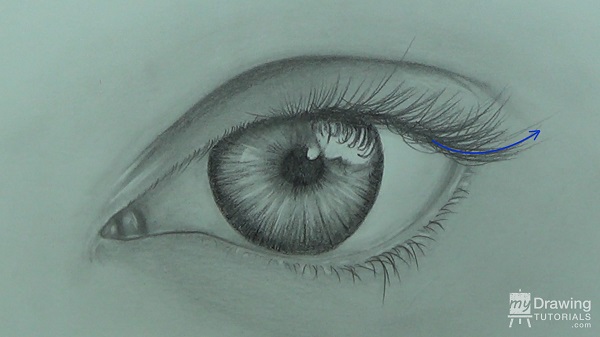 600x337 How To Draw An Eye My Drawing Tutorials - Eyelid Sketch