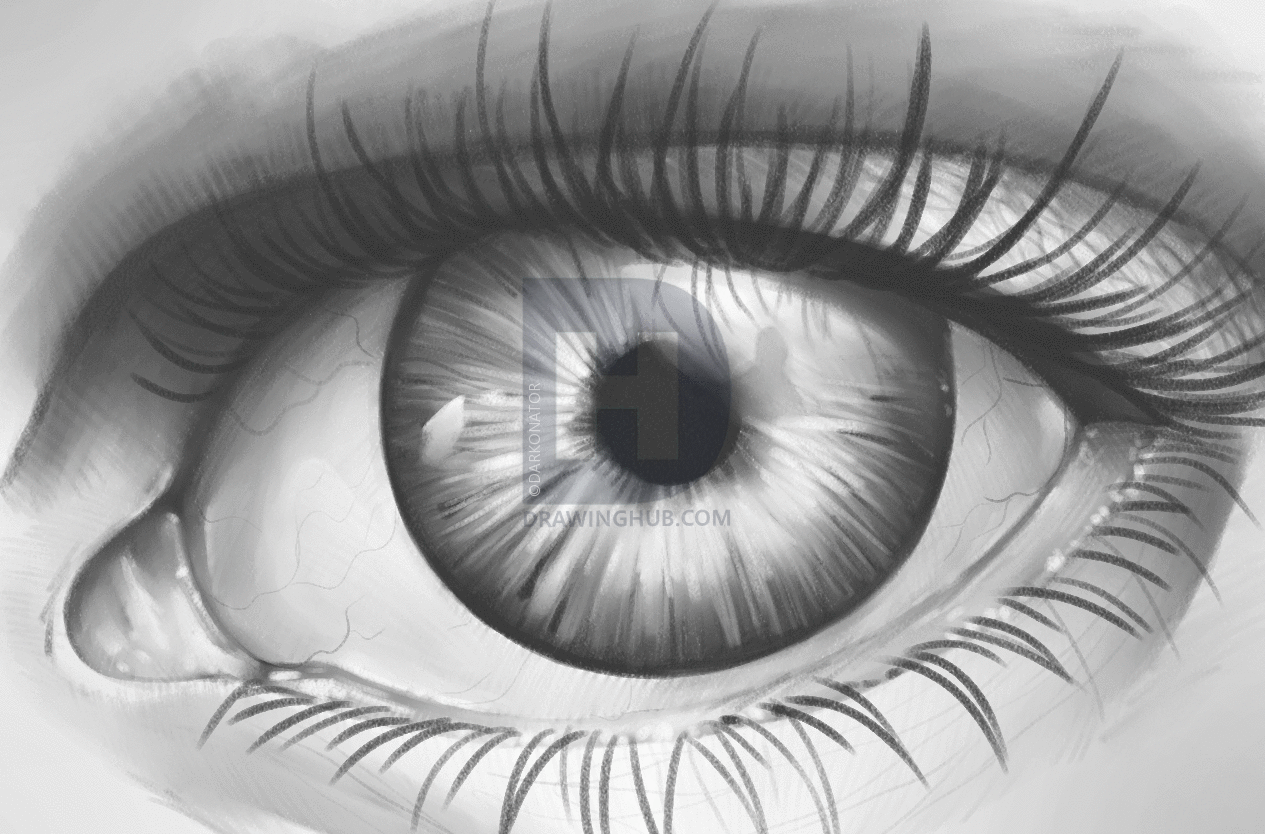 1265x834 How To Shade An Eye, Step By Step, Drawing Guide, By Darkonator - Eyelid Sketch