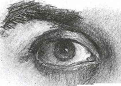 421x301 Levator Palpebrae The Eyelid Lifter - Eyelid Sketch