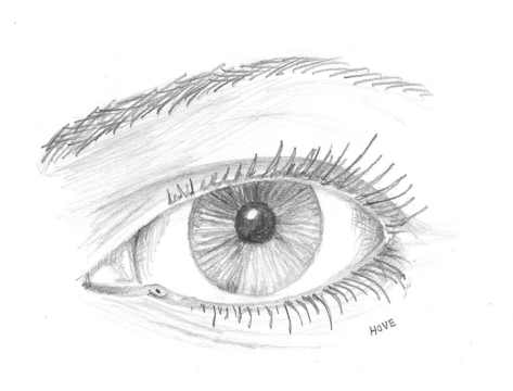 473x360 Eyelid Surgery Paoli - Eyelid Sketch