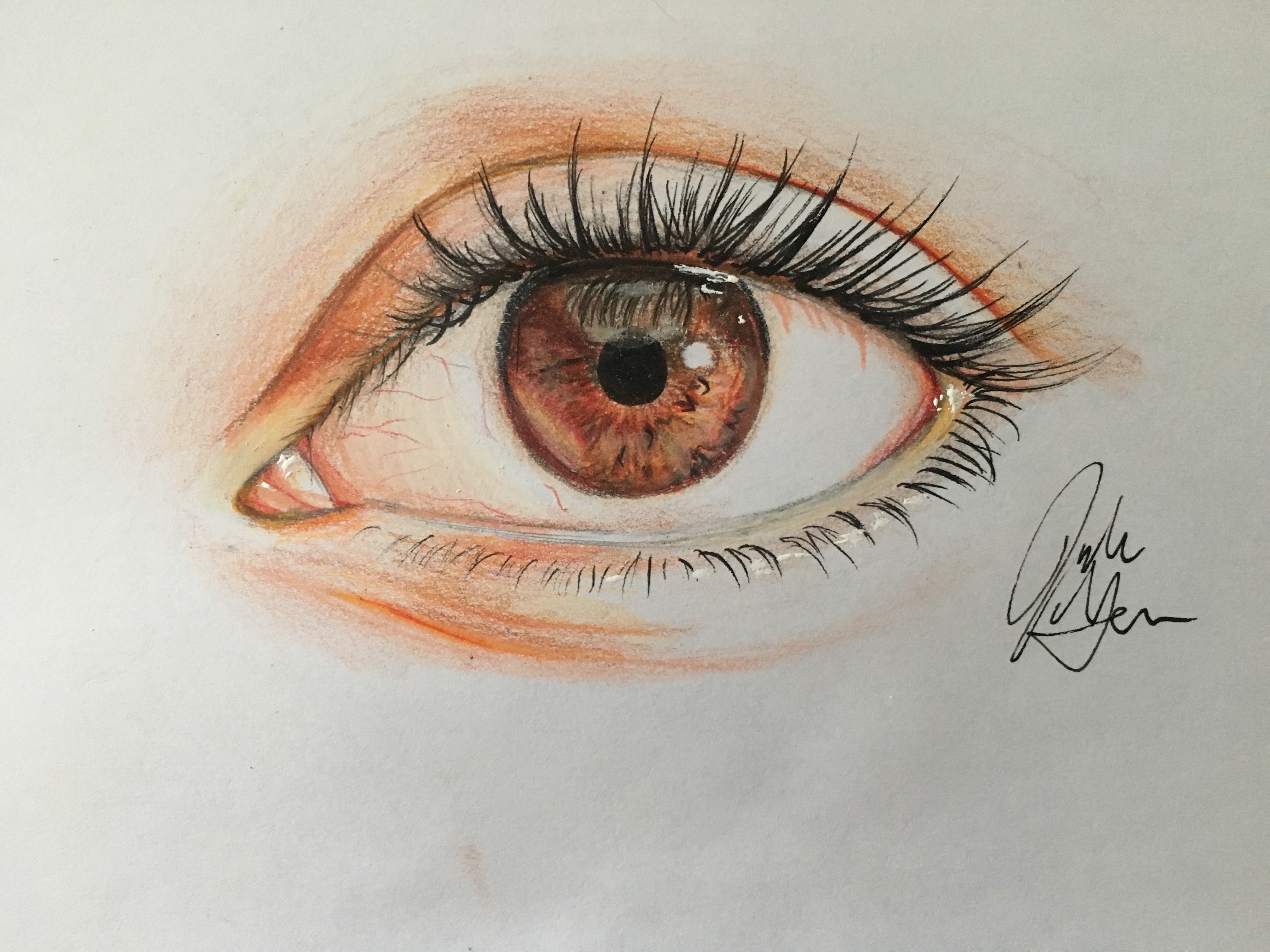 4032x3024 How To Draw An Eye In Colored Pencil (With Pictures) - Eyes With Tears Sketch