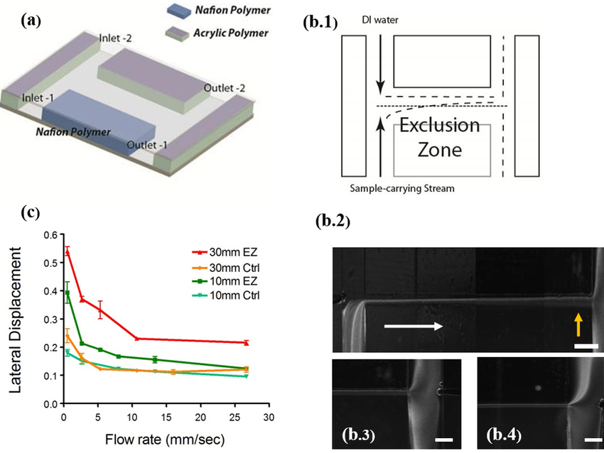 850x638 A) Sketch Of Microfluidic Chip. To Investigate Ez Effects In A - Ez Sketch