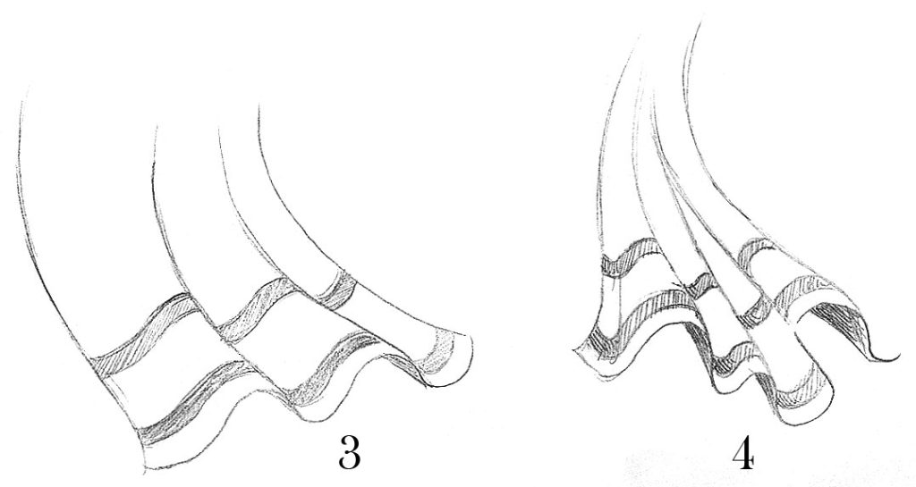 1024x545 How To Draw Folds And Draping In Clothing - Fabric Sketch