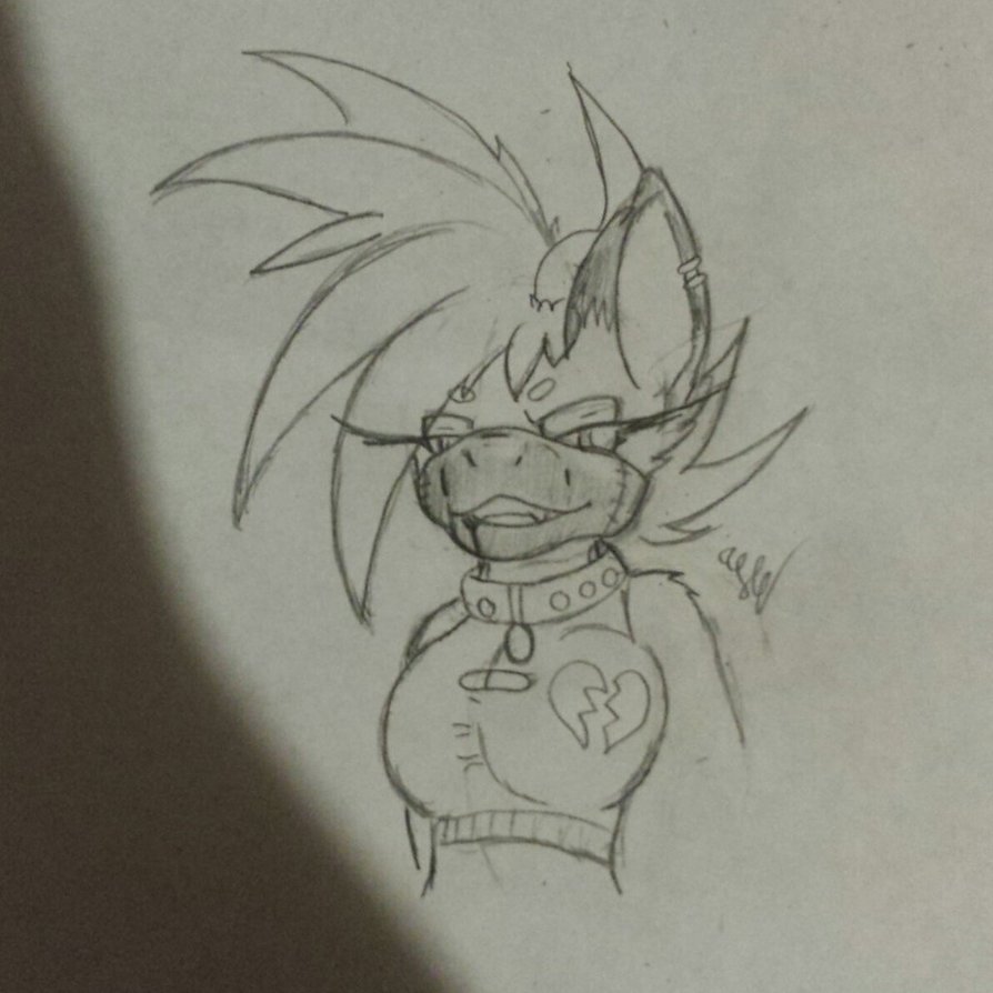 894x894 Wildfire Fox - Face Mask Sketch