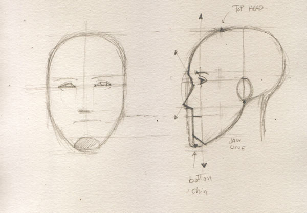 600x418 Face Drawing The Profile - Face Profile Sketch