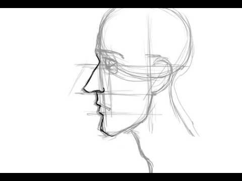 480x360 How To Draw The Face In Profile - Face Profile Sketch