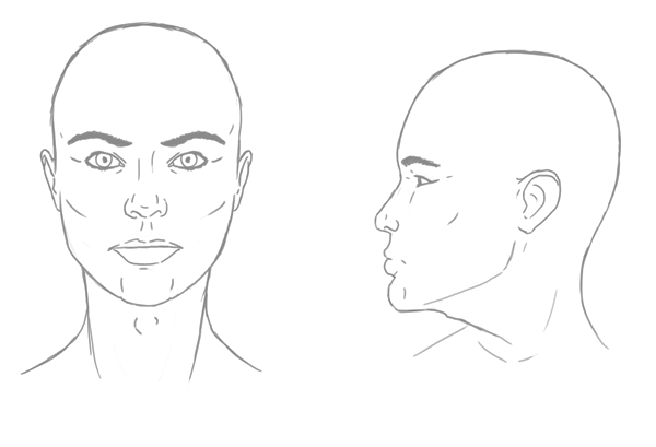 600x409 The Differences Between Male And Female Portraits - Face Profile Sketch