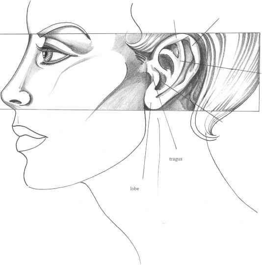 534x540 The Eyes - Face Profile Sketch