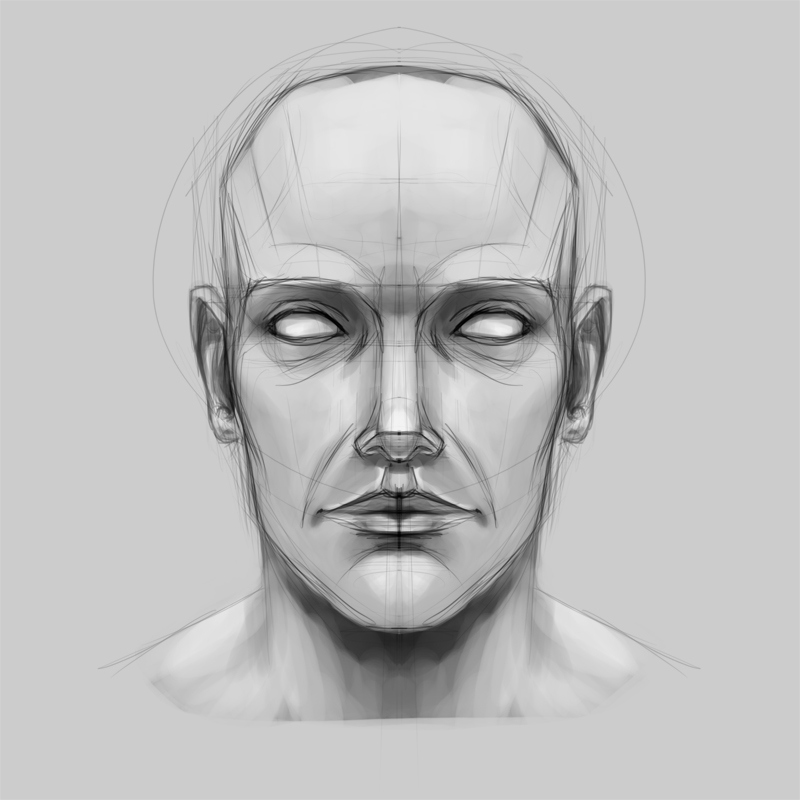 800x800 Face Sketch By Franznacion - Face Sketch